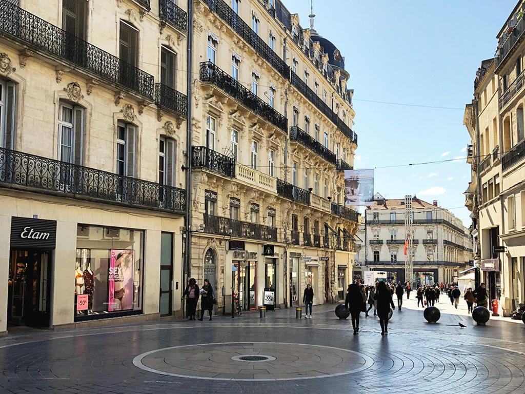 Le Havre De Paix Montpellierain - Terrasse Et Parking Prive Apartment Luaran gambar